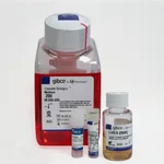 Thermo Fisher Scientific Angiogenesis Starter Kit