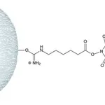 Merck N-HYDROXYSUCCINIMIDE-ACTIVATED SEPHAROSE