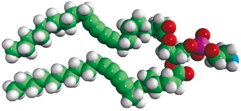 Merck 23:2 Diyne PE [DC(8,9)PE]