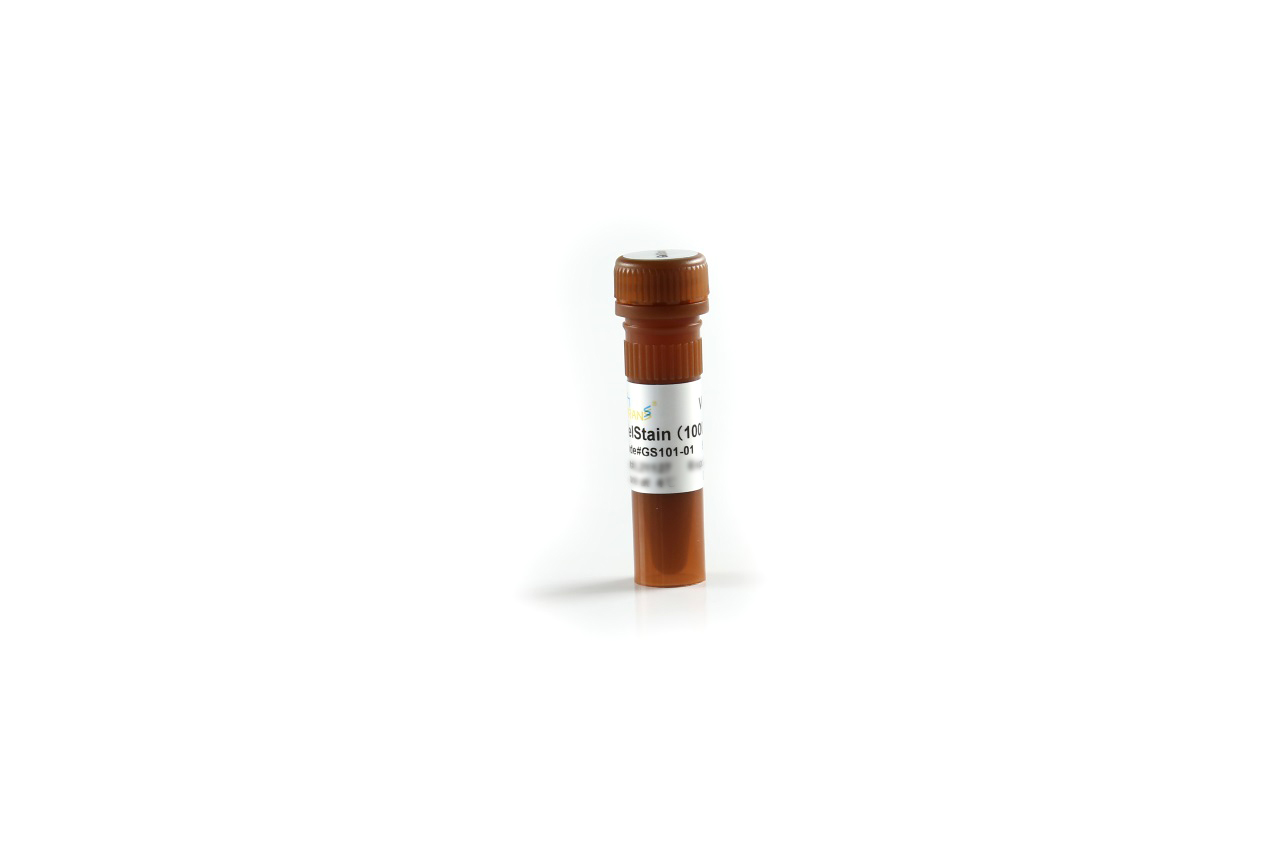 GelStain