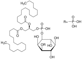 Merck L-A-PHOSPHATIDYL-D-MYO-INOSITOL 3- MONOP
