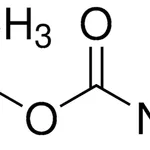 Merck tert-Butyl carbazate