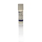 Thermo Fisher Scientific Primary Rat Cortex Neurons, 1 x 10<sup>6</sup> cells
