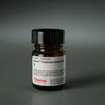 Thermo Fisher Scientific Pierce Premium Grade DSP (dithiobis(succinimidyl propionate)), 1 g