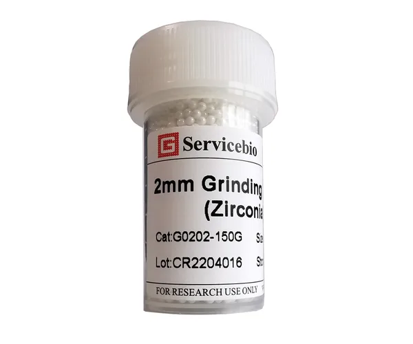 Servicebio Grinding Beads (Zirconia)