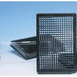 Thermo Fisher Scientific 384 Well Black Plate, Optically Clear Polymer Bottom, Pack of 10