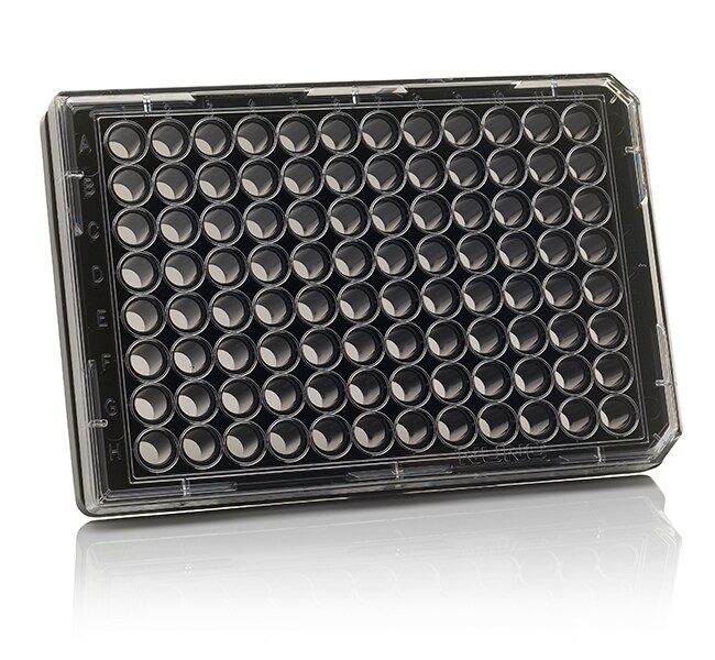 Thermo Fisher Scientific 96 Well Black/Clear Bottom Plate, TC Surface