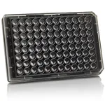 Thermo Fisher Scientific 96 Well Black/Clear Bottom Plate, TC Surface
