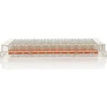 Thermo Fisher Scientific 96 Well Plate, Non-Treated Surface, No lid, Non-sterile, Pack of 5