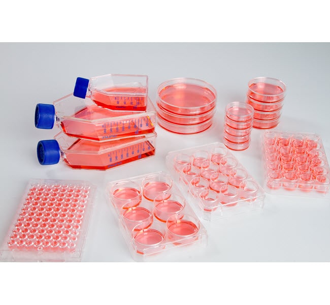 Thermo Fisher Scientific 96 Well Plate, Sphera Low-Attachment Surface, Pack of 1