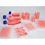 Thermo Fisher Scientific 96 Well Plate, Sphera Low-Attachment Surface, Pack of 1