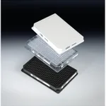 Thermo Fisher Scientific Nunc 384 Well ShallowWell Standard Height Clear Plates