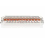 Thermo Fisher Scientific Nunc 96-Well Polystyrene Conical Bottom MicroWell Plate