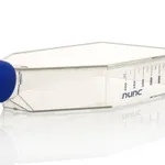 Thermo Fisher Scientific Nunc Cell Culture Treated Flask with Filter Cap