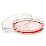Thermo Fisher Scientific Nunc Dishes with UpCell Surface