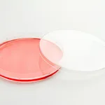 Thermo Fisher Scientific Nunc EasYDish Dishes