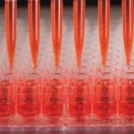 Thermo Fisher Scientific Nunc Edge 96-Well, Nunclon Delta-Treated, Flat-Bottom Microplate