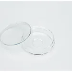 Thermo Fisher Scientific Nunc Glass Bottom Dish