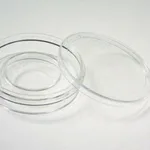 Thermo Fisher Scientific Nunc IVF Center Well Dish