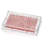Thermo Fisher Scientific Nunc MicroWell 96-Well Microplates