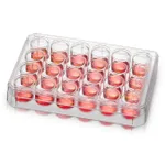 Thermo Fisher Scientific Nunc Non-Treated Multidish