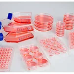 Thermo Fisher Scientific Nunclon Sphera Flask