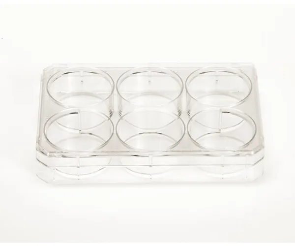 Thermo Fisher Scientific Thermo Scientific Nunc Cell-Culture Treated Multidish