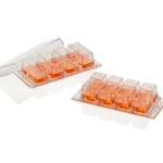 Thermo Fisher Scientific Thermo Scientific Nunc Lab-Tek Chambered Coverglass