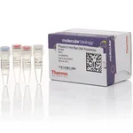 Thermo Fisher Scientific Phusion U Hot Start DNA Polymerase, 500 units