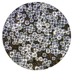 AS ONE AS Glass Beads (Abrasive Material for Blast), AS 글라스비즈 연마재