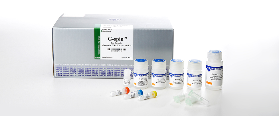 Intron G-spin™ Genomic DNA Extraction Kit (for Bacteria)