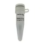 Thermo Fisher Scientific RNase A, DNase and protease-free (10 mg/mL)