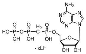 Merck A,B-METHYLENEADENOSINE 5``-TRIPHOSPHATE &