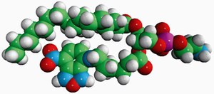 Merck 16:0-06:0 NBD PE