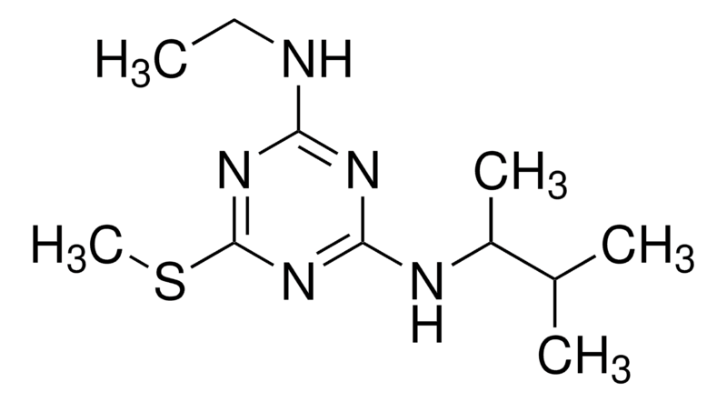 Merck Dimethametryn