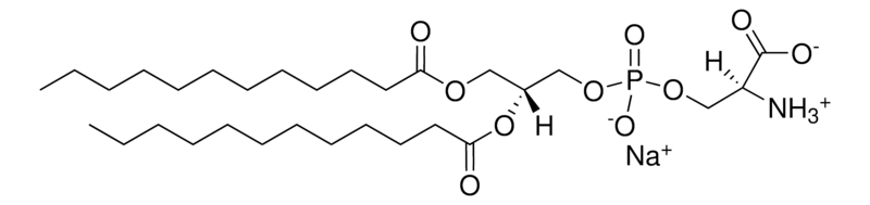 Merck 12:0 PS