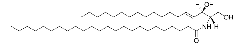 Merck C24 Ceramide (d18:1/24:0)