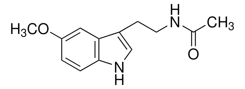 Merck Melatonin