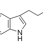 Merck Melatonin