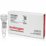 Thermo Fisher Scientific ATP Solution (10 mM)