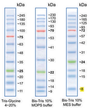 Merck BLUEYE PRESTAINED PROTEIN LADDER