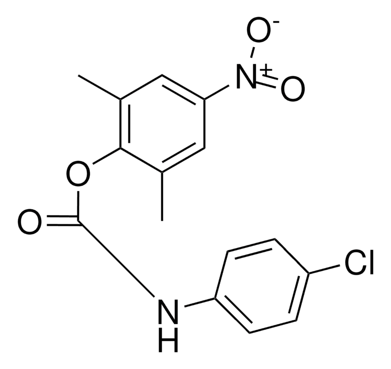 Merck 2,6-DIMETHYL-4-NITROPHENYL N-( - 50 MG&