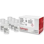 Thermo Fisher Scientific Cells-to-Signal Lysis Buffer (10 ml Bottle)