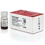 Thermo Fisher Scientific Dynabeads Carboxylic Acid for RNA Purification, 2 mL