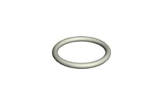 Waters O-Ring, FEP, 2-016