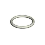 Waters O-Ring, FEP, 2-016