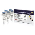 Thermo Fisher Scientific Buffer B (10X)