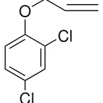 Merck ALLYL 2,4-DICHLOROPHENYL ETHER-1G