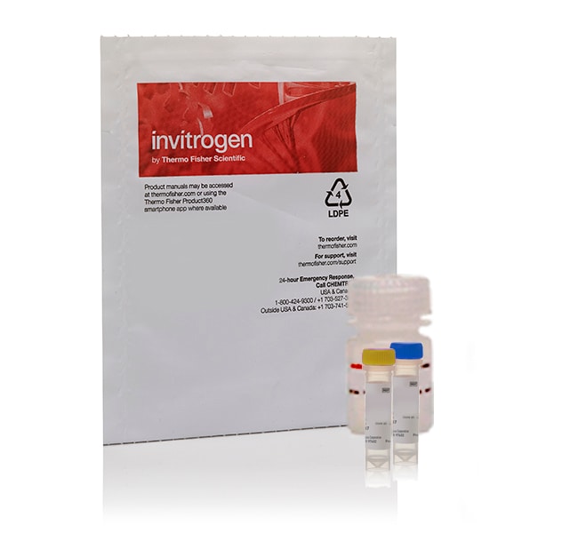 Thermo Fisher Scientific EnzChek Lysozyme Assay Kit