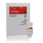 Thermo Fisher Scientific EnzChek Lysozyme Assay Kit